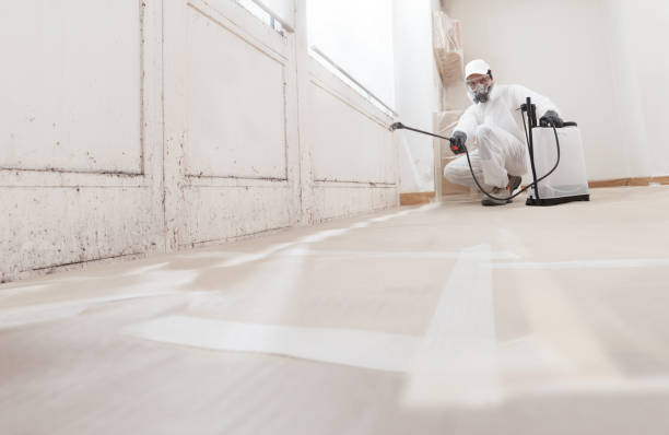 24/7 Emergency Mold Remediation experts in Gainesville, TX